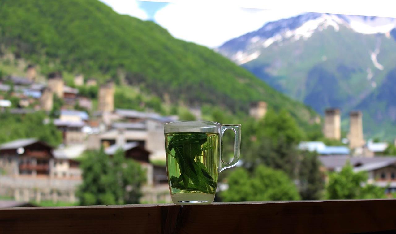 Travel Inn House Mestia • Მოგზაურის Სახლი Екстер'єр фото